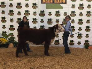 Missy Beef Expo