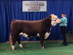 2019 Cash IA State Fair