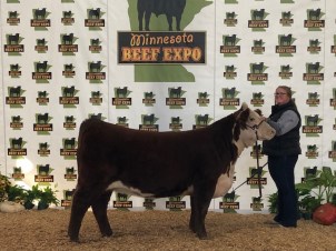 2019 Misty MN Beef Expo