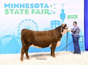 2019 Misty MN State Fair